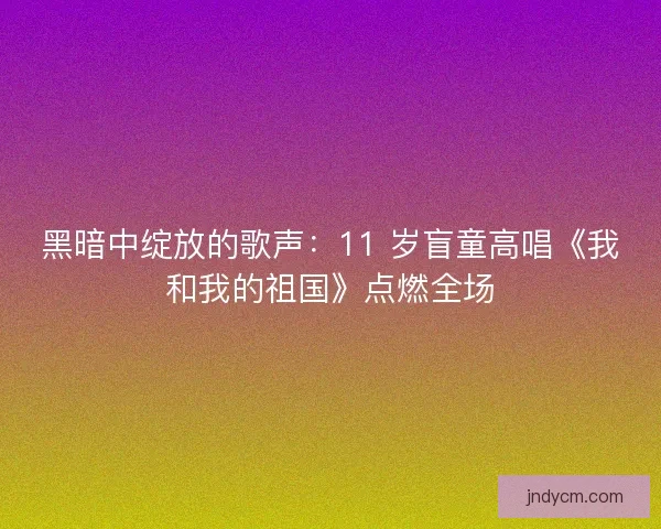 黑暗中绽放的歌声：11 岁盲童高唱《我和我的祖国》点燃全场